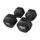Гантелі 10 кг Everlast (пара)