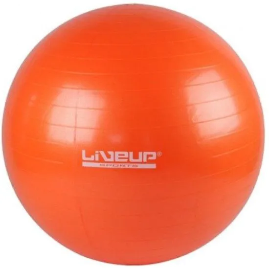 Фітбол GYM BALL 55см LiveUp