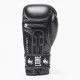 Боксерські рукавички Leone Ambassador Black 10 oz