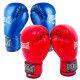 Боксерські рукавички Everlast 6-8 ун вініл (DX-380)