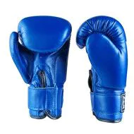 Боксерські рукавички Everlast 10-12 ун вініл (DX-380)
