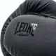 Боксерські рукавички Leone Mono Black 10 oz