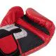 Рукавички боксерські EVERLAST PRO STYLE TRAINING 12 oz