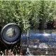 Пляшка для води CASNO 1000 мол KXN-1111
