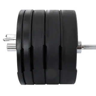 Диски бамперні Bumper Plates LiveUp 25 кг (LivePro LP8331)