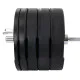 Диски бамперні Bumper Plates LiveUp 10 кг (LivePro LP8331)