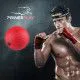 Файтбол набір PowerPlay 4320 Fight Ball Set