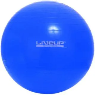 Фітбол GYM BALL 75см LiveUp