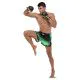 Шорти для кікбоксингу та тайського боксу FAIRTEX зелені