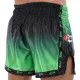 Шорти для кікбоксингу та тайського боксу FAIRTEX зелені