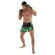 Шорти для кікбоксингу та тайського боксу FAIRTEX зелені