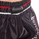 Шорты для тайского бокса и кикбоксинга HAYABUSA LOIN WARRIOR