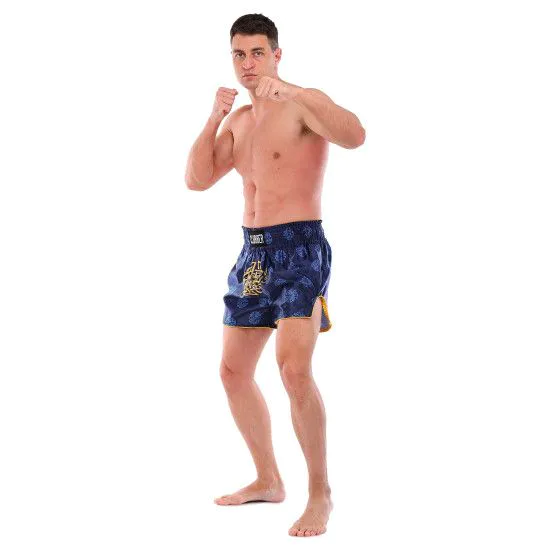 Шорти для кікбоксингу та тайського боксу FAIRTEX BS1915