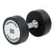 Гантель 20 кг TECHNOGYM 