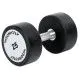 Гантель 25 кг TECHNOGYM 