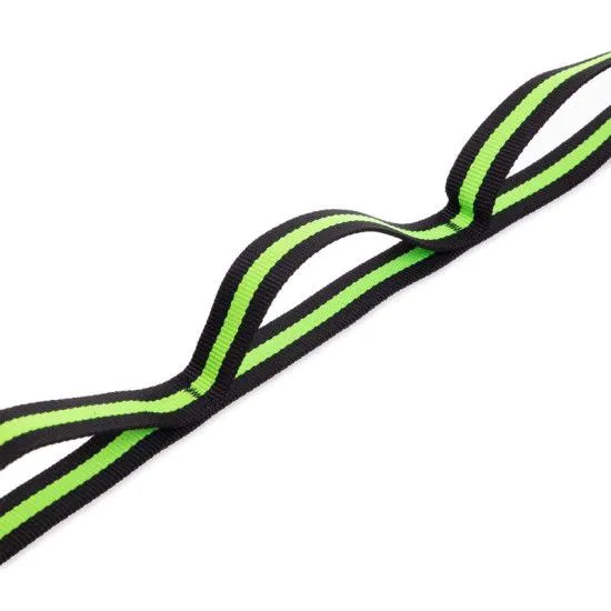 Стрічка для розтяжки Stretch Strap 12 петель (F040)