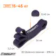 Резина для тренировок EasyFit (15-45 кг)