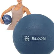 М'яч для пілатесу та йоги BLOOM MINI PILATES BALLl 30 см LB7000
