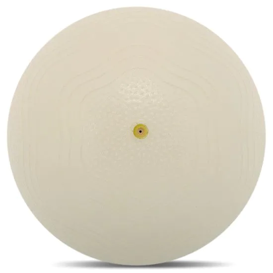 М'яч для пілатесу та йоги BLOOM MINI PILATES BALLl 20 см 