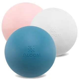 М'яч для пілатесу та йоги BLOOM PREMIUM PILATES BALL 20 см 