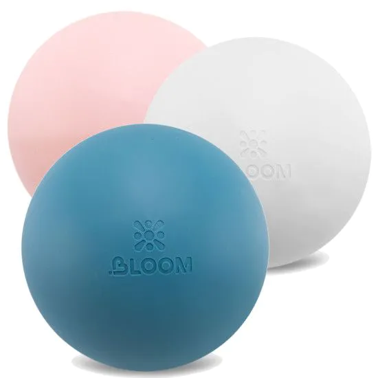 М'яч для пілатесу та йоги BLOOM PREMIUM PILATES BALL 20 см 