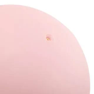М'яч для пілатесу та йоги BLOOM PREMIUM PILATES BALL 20 см 