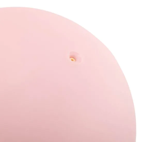 М'яч для пілатесу та йоги BLOOM PREMIUM PILATES BALL 20 см 