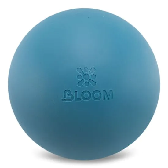 М'яч для пілатесу та йоги BLOOM PREMIUM PILATES BALL 20 см 