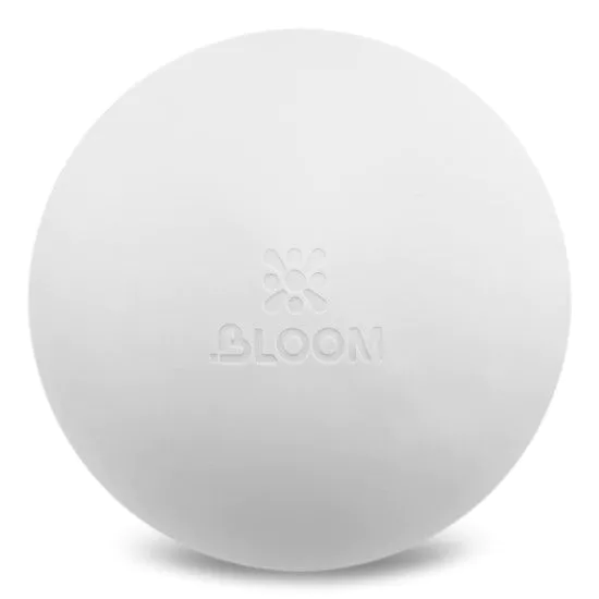 М'яч для пілатесу та йоги BLOOM PREMIUM PILATES BALL 20 см 