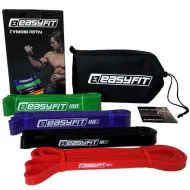 Гумові петлі набір 4шт. EasyFit (2-65 кг)  