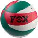 М'яч волейбольний FOX №5 (SL/FV5FV609-SL5)