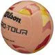 М'яч волейбольний Wilson Pro Tour VB Stripe (WV2000501IBOF)