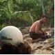 Мяч волейбольный Wilson MR Wilson CASTAWAY SS13