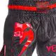 Шорти для тайського боксу та кікбоксингу VENUM GIANT